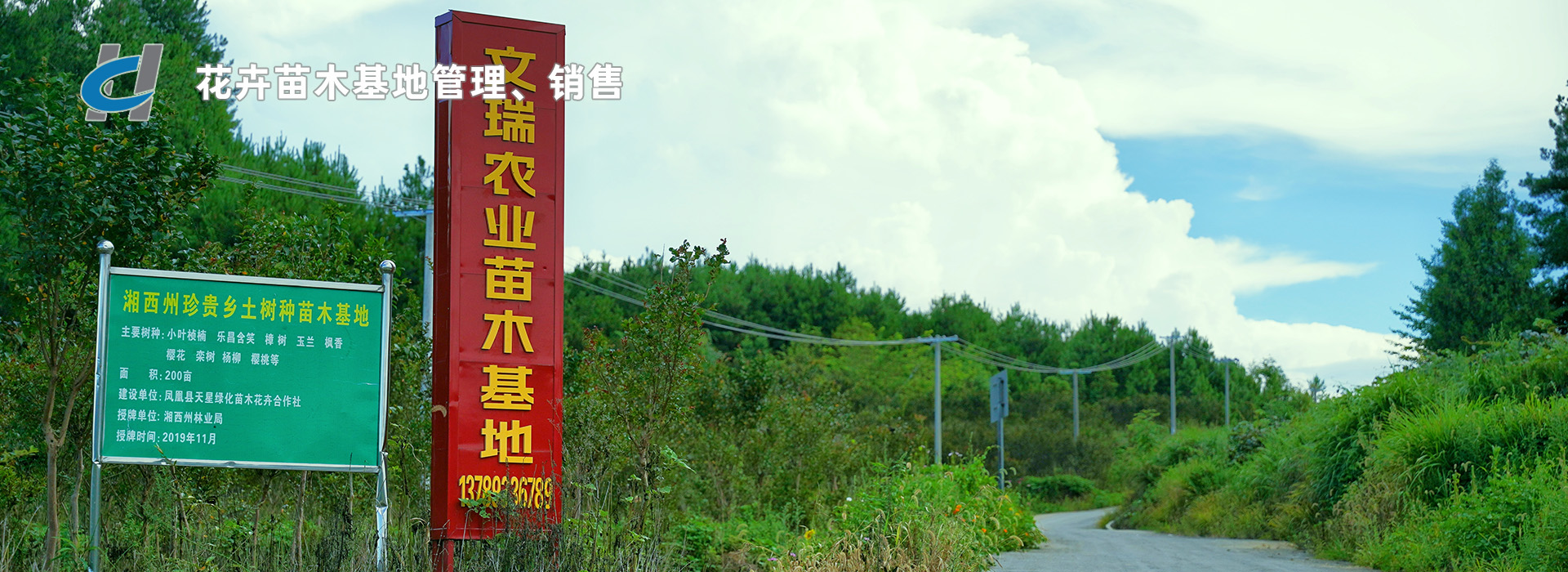 花卉苗木基地管理、銷售